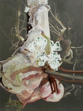 Bone Structure. 2008. Oil and acrylic on linen, 122 x 91 cm £2600